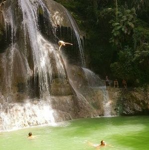 Meet your Posher, Zach